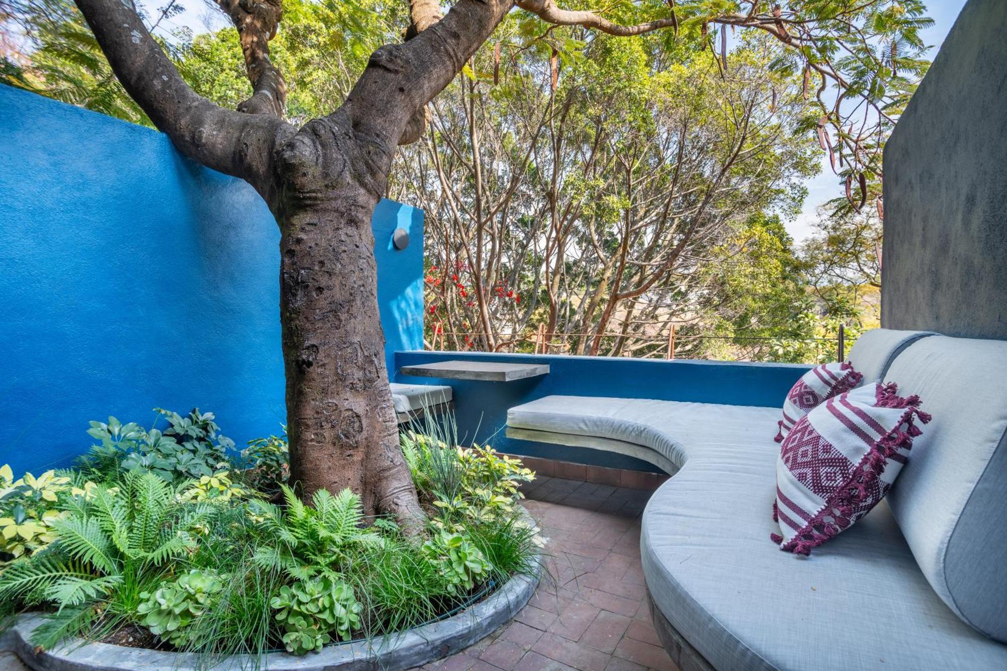 Casa Cristina Fresh Boutique Hotel 库埃纳瓦卡 外观 照片
